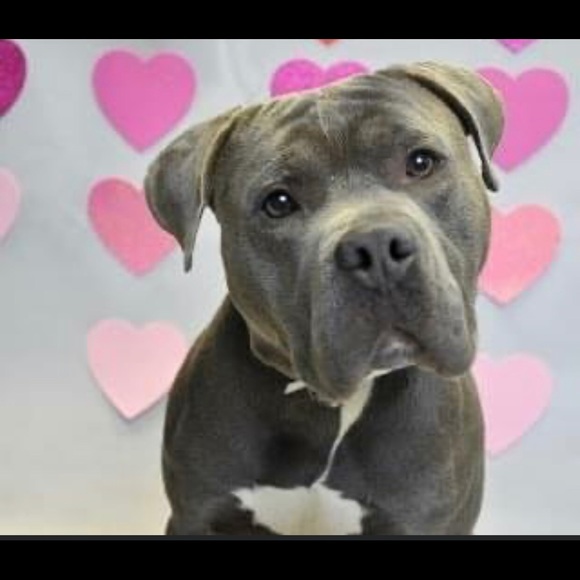 MAKE ME AN OFFER. We’re ALL WINNERS. !!👍😉👚👕👗🩱👙👠🥿🩴🥻👘🥾🧤👒🩳🥻🐶🐾💕 - Picture 5 of 16